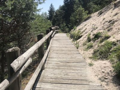 Rankipino-Trail